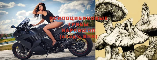 шишки Абдулино