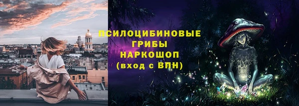 сатива Кулебаки