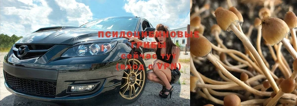 амф Абинск
