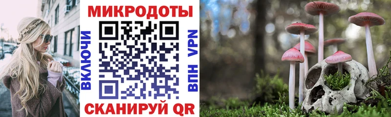 купить   Магнитогорск  Псилоцибиновые грибы Psilocybe 